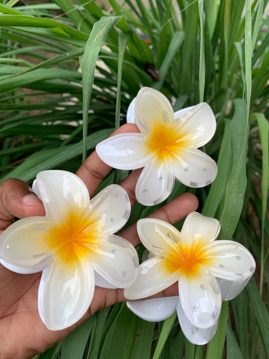 Pinces à cheveux fleuries