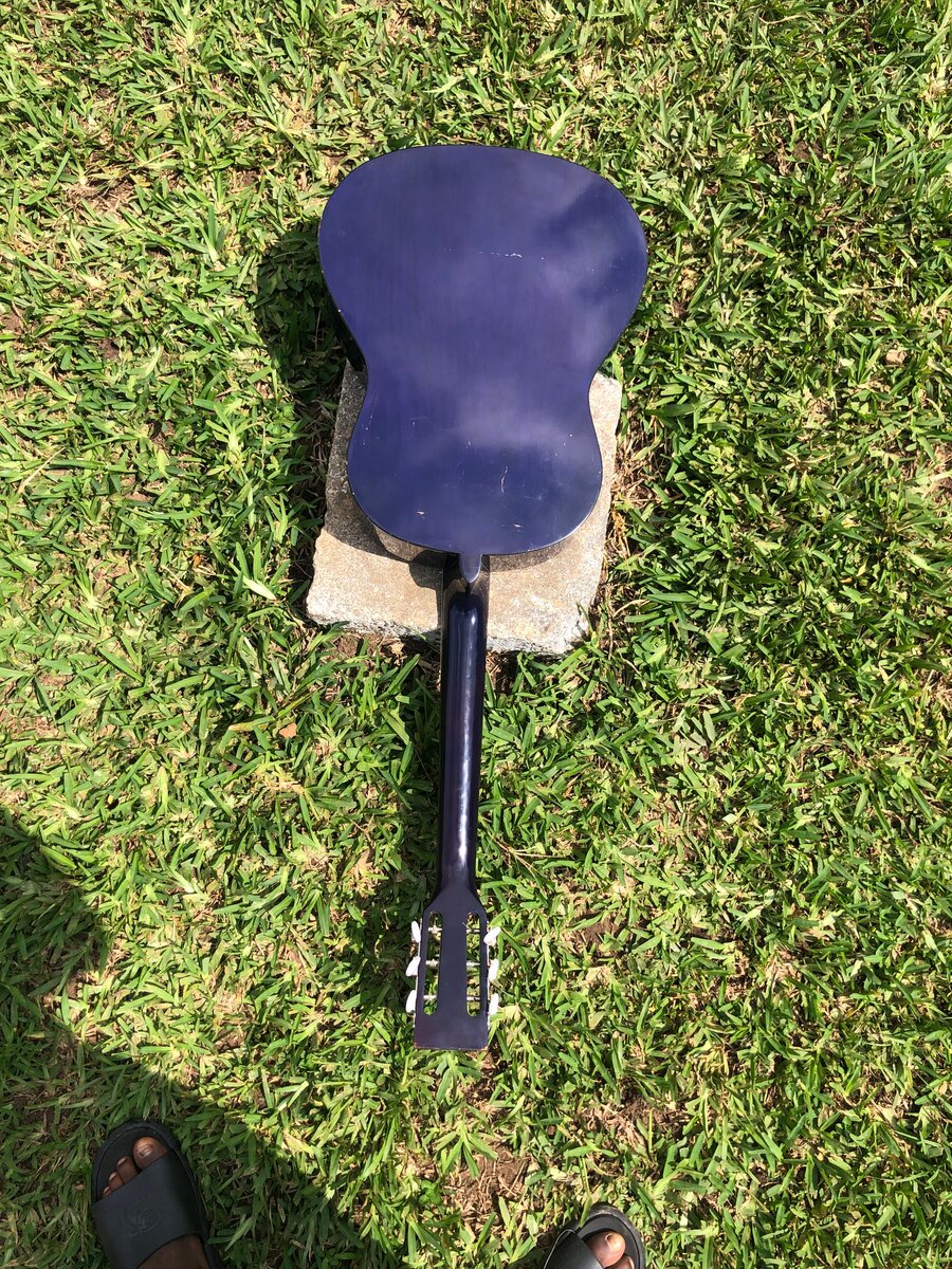 Guitare acoustique bleue