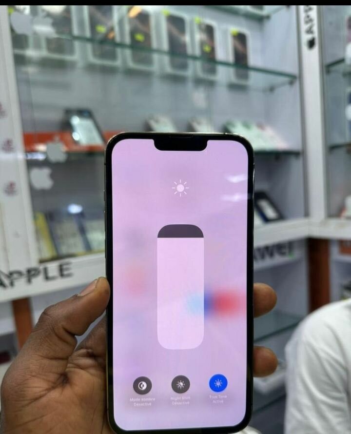 Apple iPhone 13 Pro Max