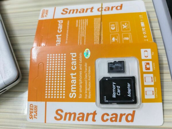 256 GB  -  CARTE MÉMOIRE