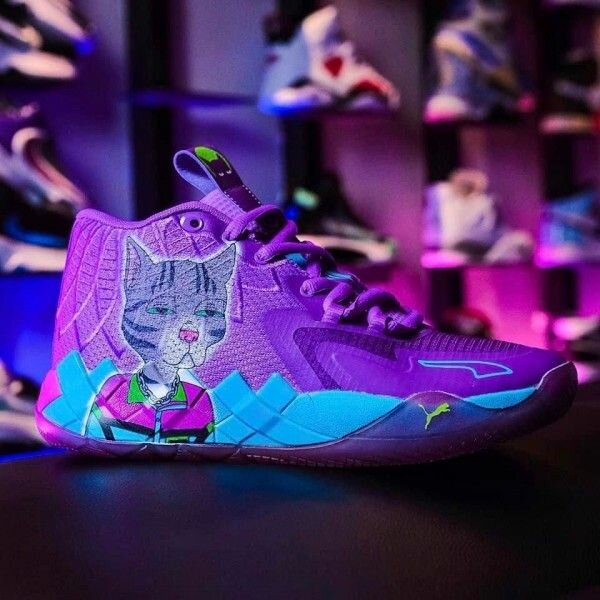 Baskets Chat Décontractées