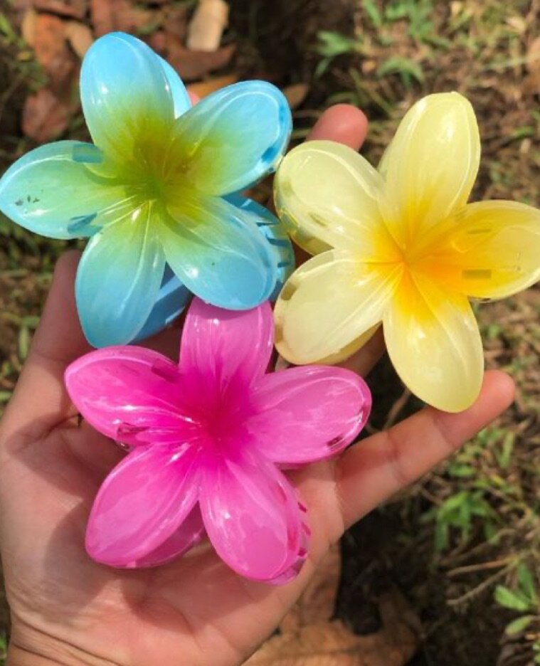 Pinces à fleurs colorées