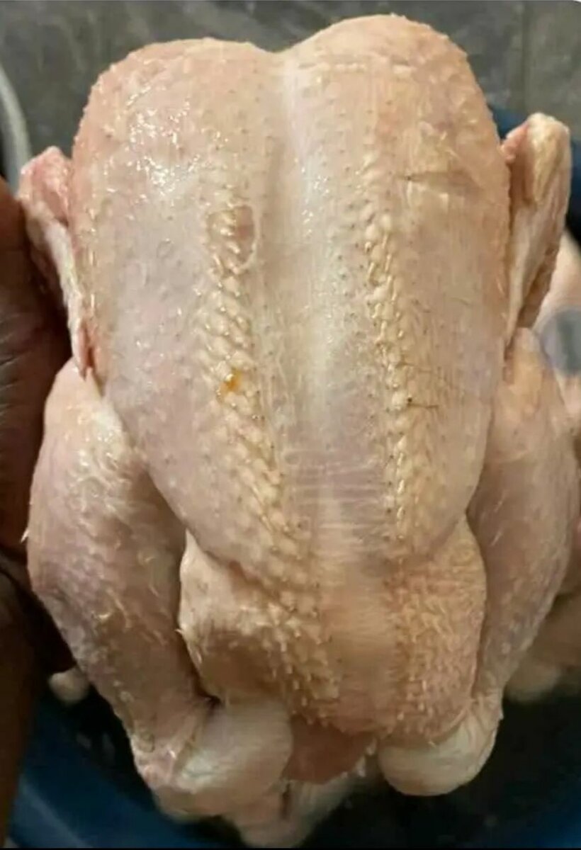 Poulet Fermier Frais