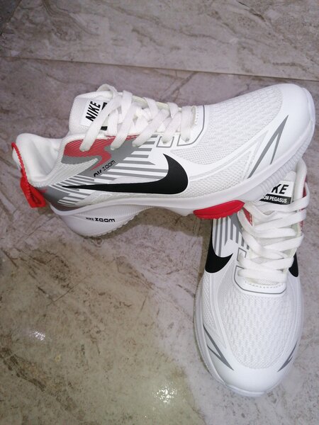 Nike Zoom Pegasus Sneakers