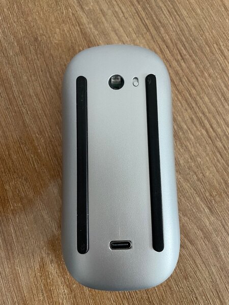 Apple mouse