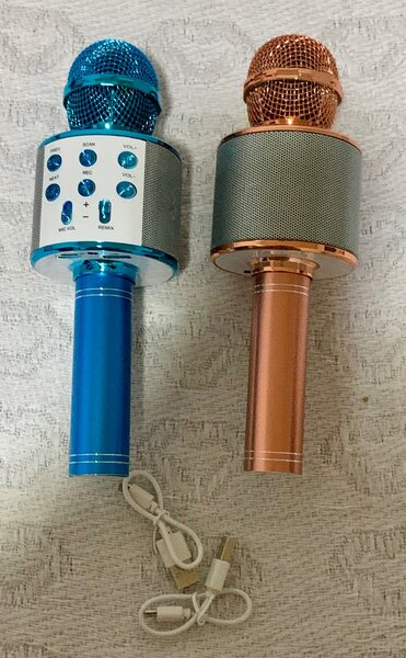 Kids karaoke microphone