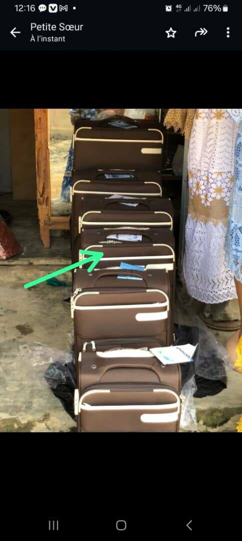 Valises de Voyage Élégantes