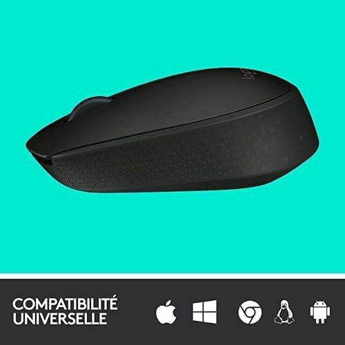 Souris sans Fil M171