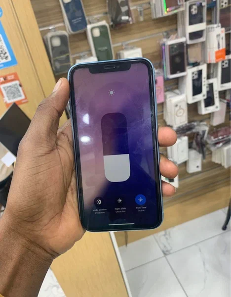 iPhone XR Bleu Occasion