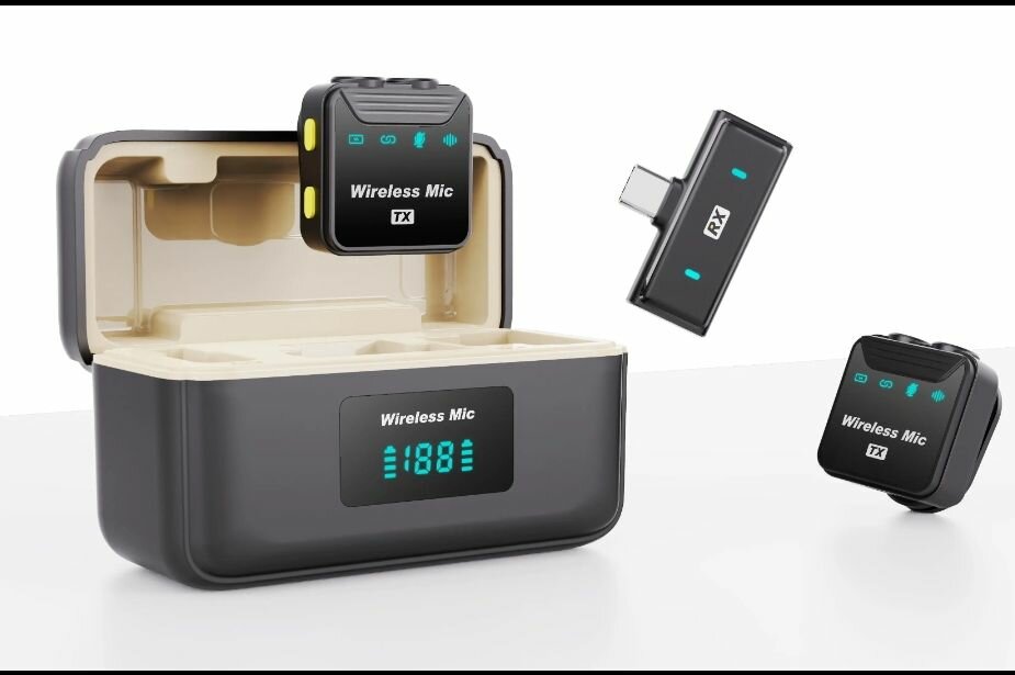 Double micro cravate professionnel