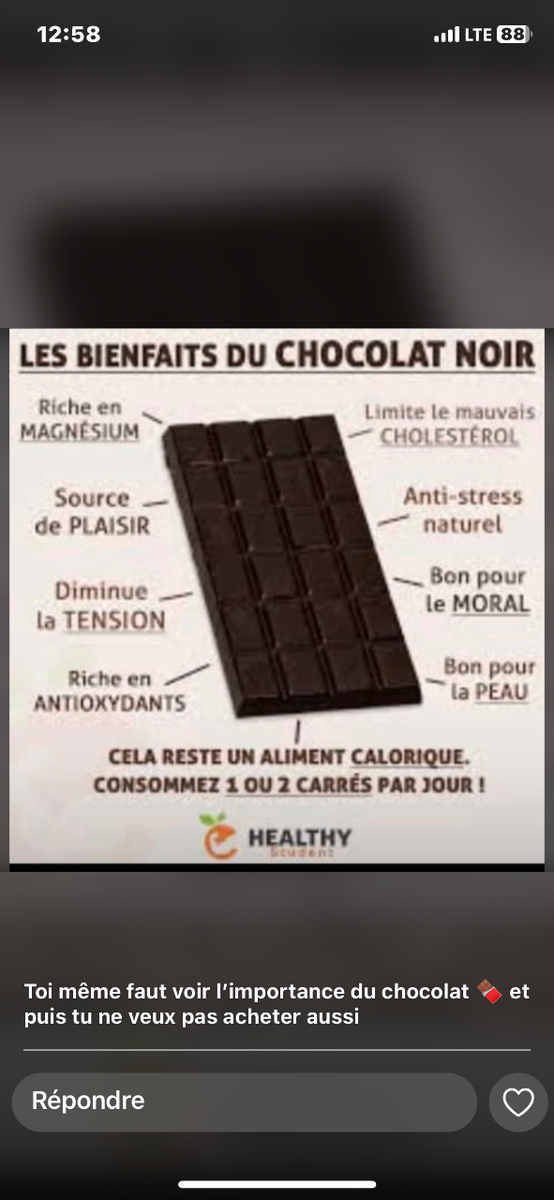 Chocolat Noir Carrés Délicieux