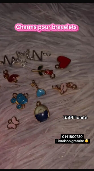 Charms Bracelets Variés 3à500f
