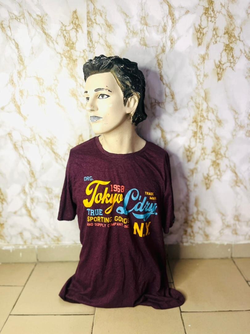 Lot de T-Shirts Homme