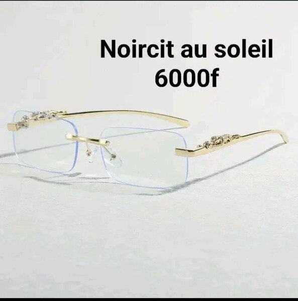 Lunettes Photochromiques Élégantes