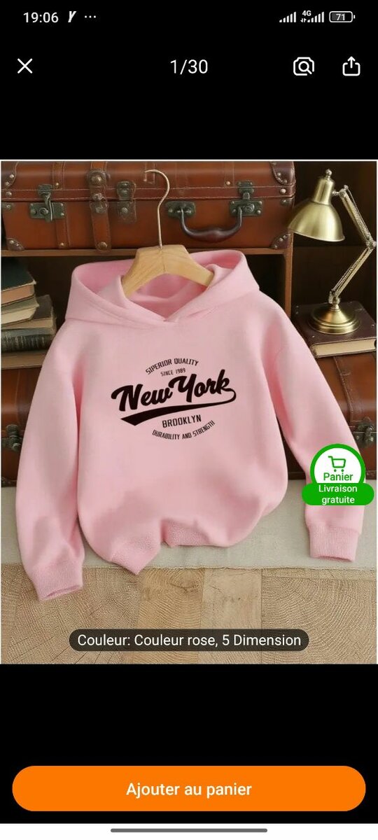 Sweat à Capuche New York Rose