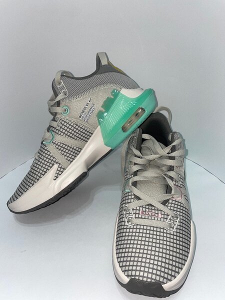 Nike Air Zoom BB NXT