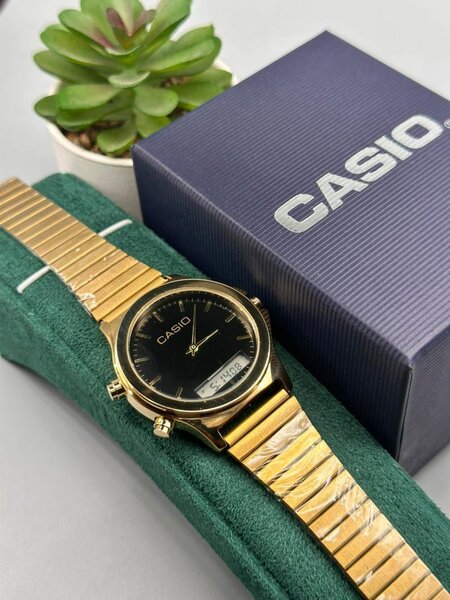 CASIO