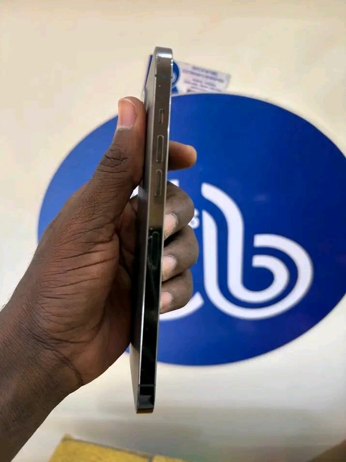 iPhone 13 Pro Max 256Go