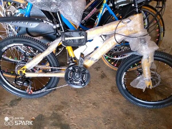 Vélo de Montagne Robuste