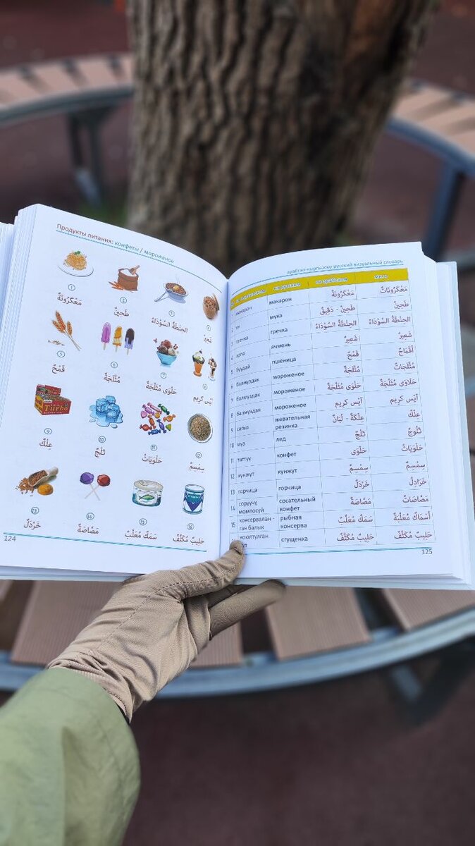 Словарь арабско -кыргызско- русский