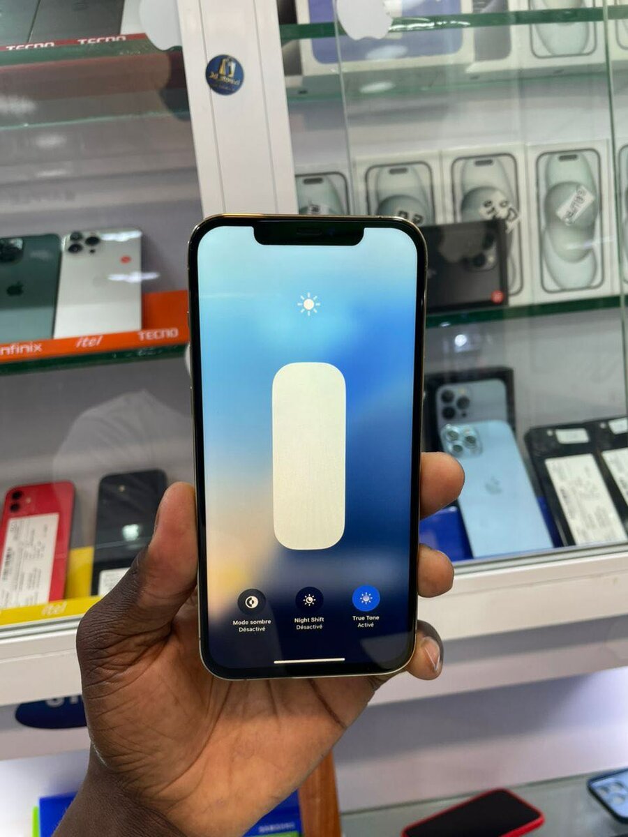 iPhone 12 Pro Max 256go quasi neuf