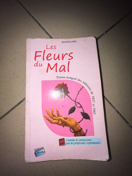 Les Fleurs du Mal de Baudelaire