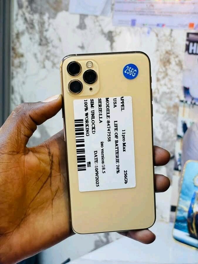 iPhone 11 Pro Max 256 Go