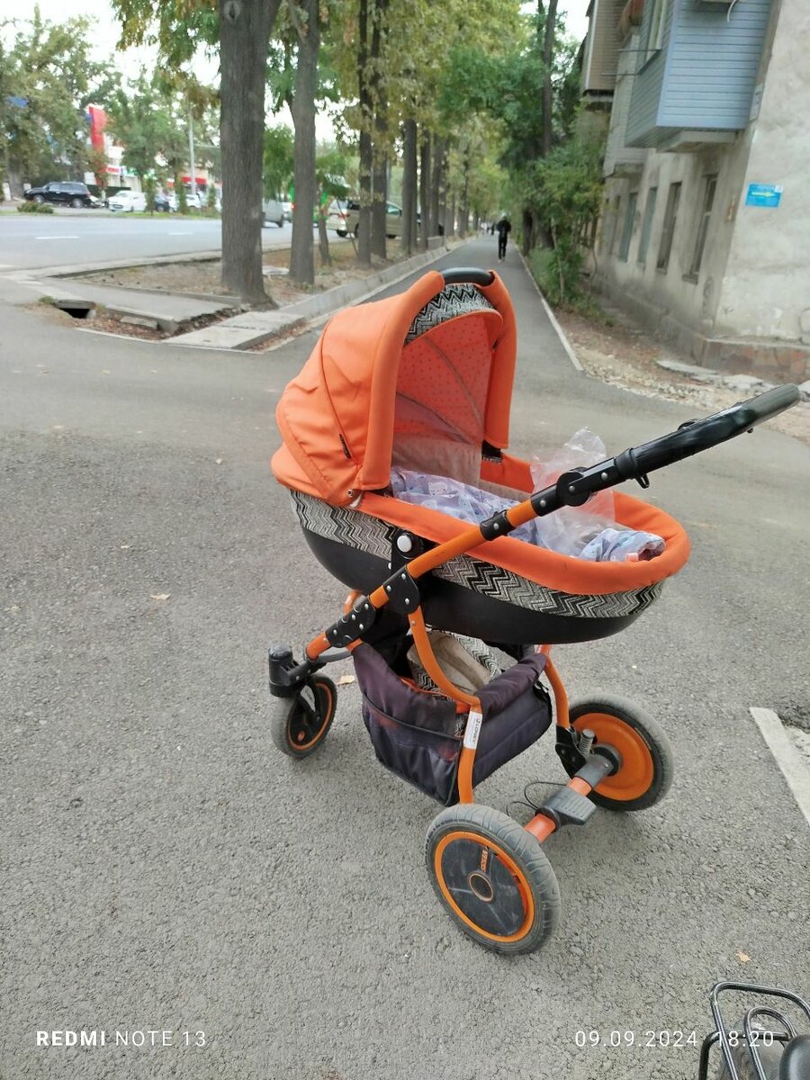 Коляска Польский 3в1