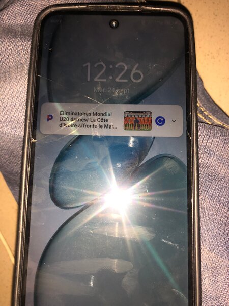 Coque de protection pour smartphone