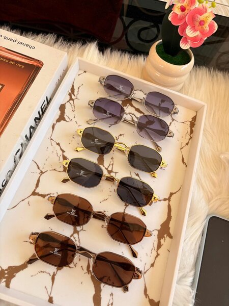 Lunettes de Soleil Élégantes