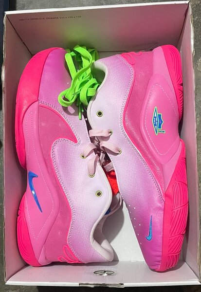 Nike LeBron 22 pink