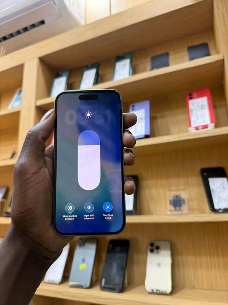 iPhone 13 Pro Max Bleu