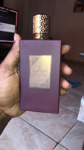 Ameerat AL ARAB et MOUSUF diso