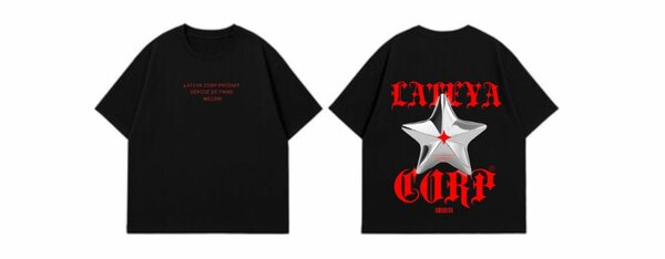 LATEYA CORP