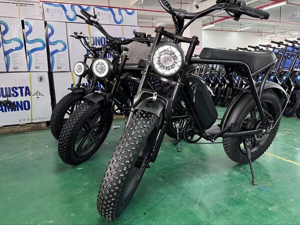 Vélo électrique tout-terrain