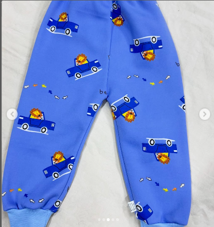 Штаны на тонком флисе