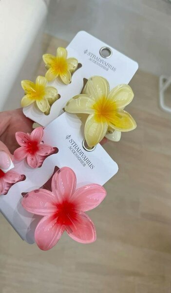 Barrettes à fleurs colorées