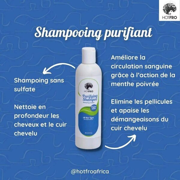 Shampoing purifant