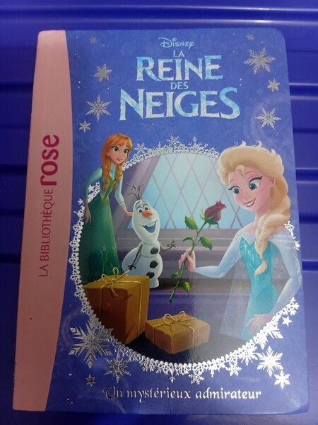 Livre La Reine des Neiges