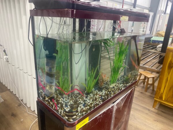 Aquarium avec meuble élégant