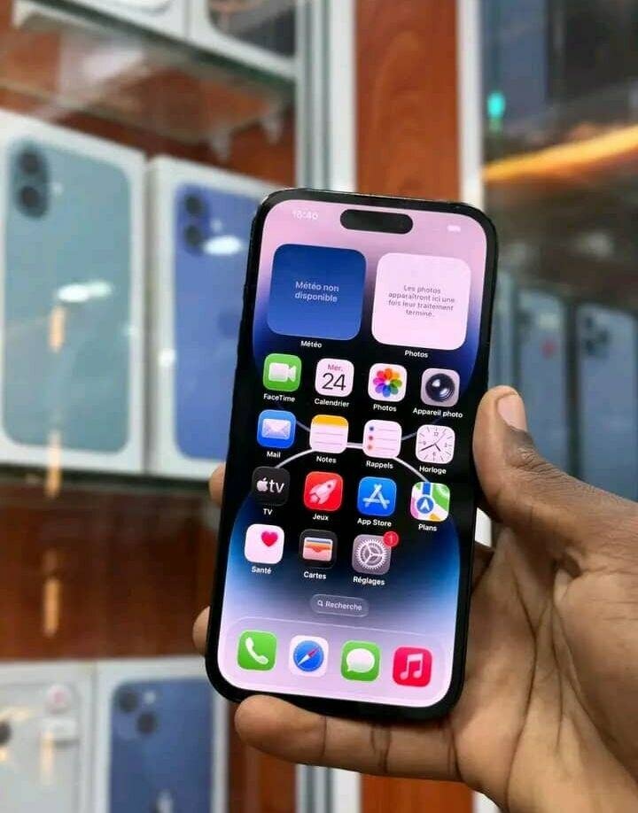 iPhone Pro Max 256 Go Gris