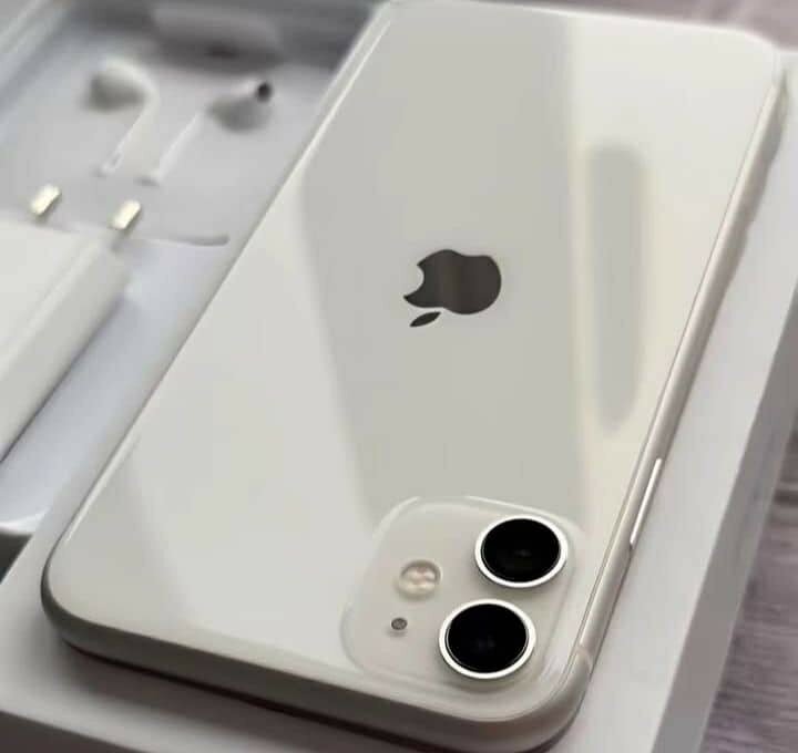 Apple iPhone 11 Blanc 64Go