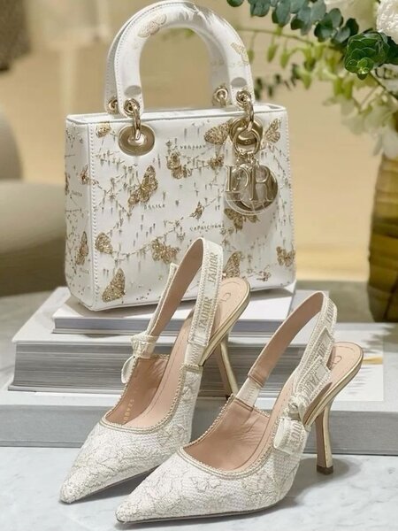 Ladies bag and dress shoe