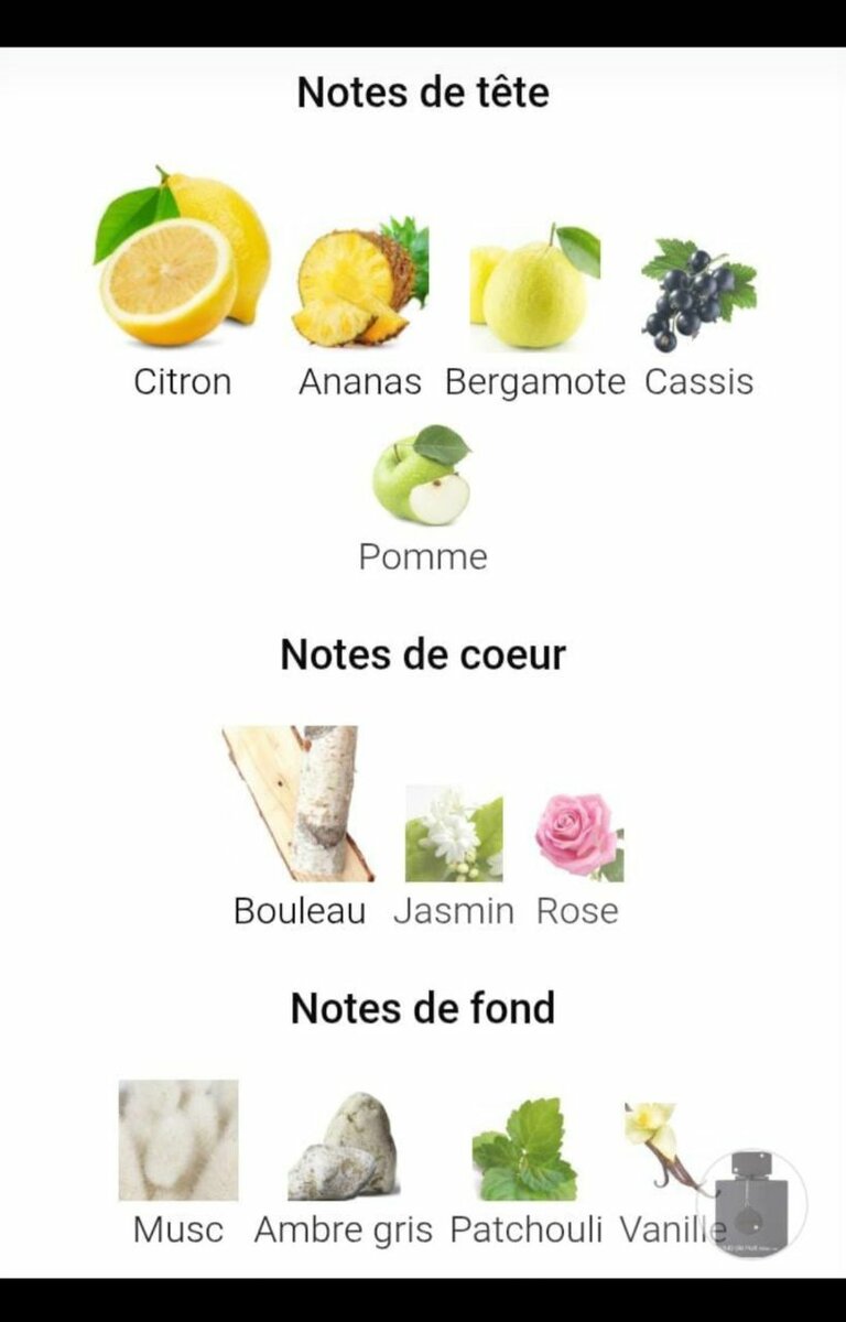 Club de Nuit Intense Parfum