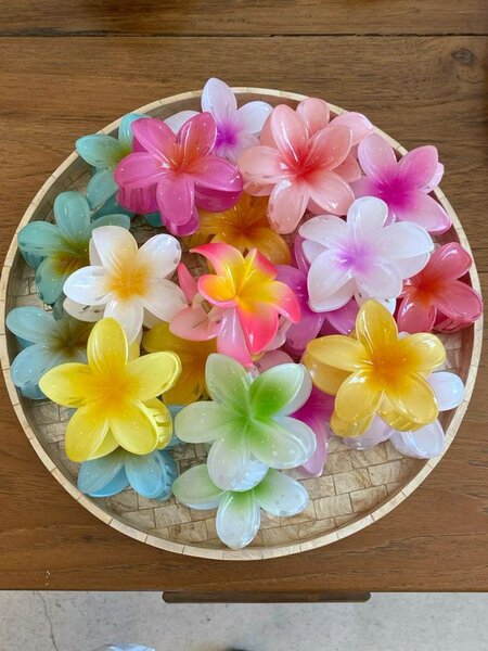 Pinces à cheveux fleurs colorées