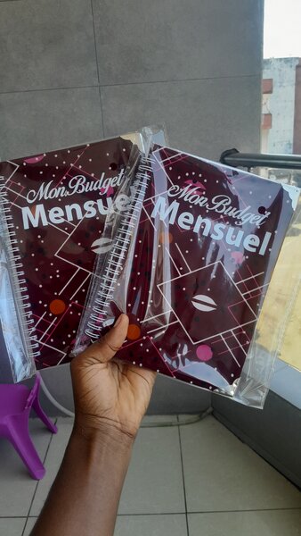 MON BUDGET MENSUEL