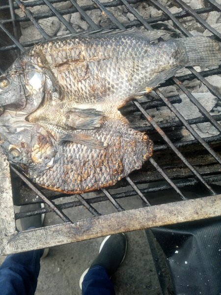 Roasted fish