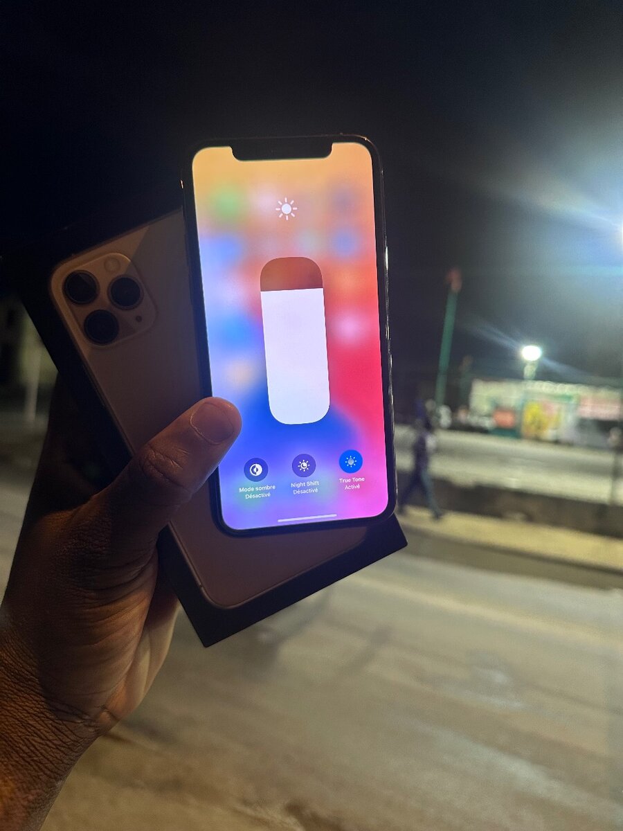 iPhone Pro Max Argent