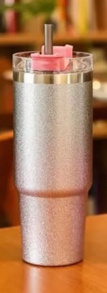 vacuum Insulated Mug