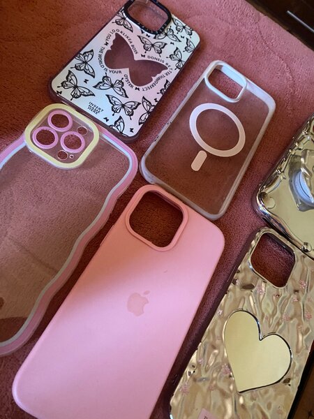 iPhone 13 Pro Max cases